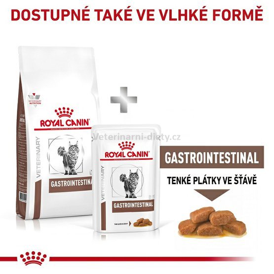 Gastrointestinal kočka 7.jpg