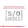 SO index.jpg