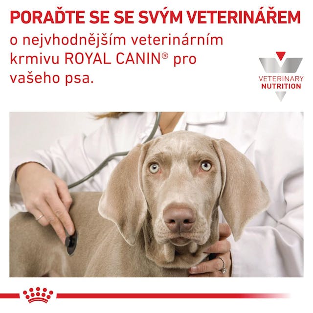 Royal Canin VHN DOG HEPATIC 420g konzeva Veterinární diety