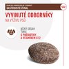 RC-VHN-GiCanineTreat-CV-2-cs_CZ.pdf.jpeg