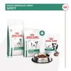 RC-VHN-SatietyCanineTreat-CV-1-cs_CZ.pdf.jpeg