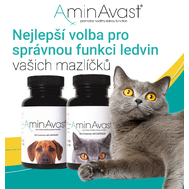 AminAvast  (chronické renální selhání )