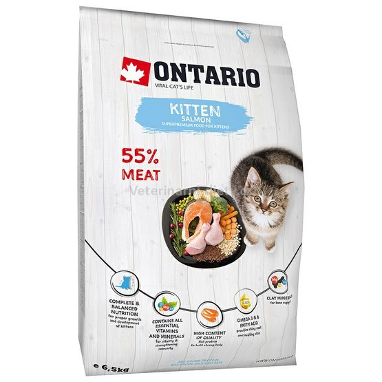 ontario kitten salmon.jpg