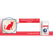 Royal Canin VD Fel / Can Instant Conval Supp 10x50g