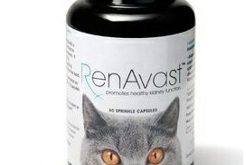 AminAvast (řešení pro kočky s CRF)